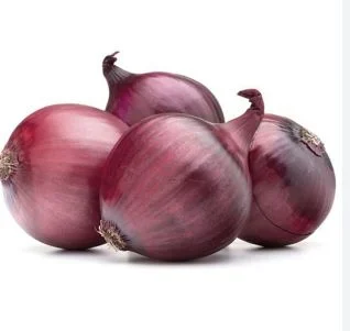 Onion Red Turkey