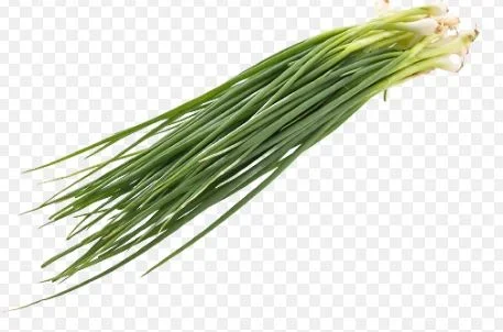 Spring Onion